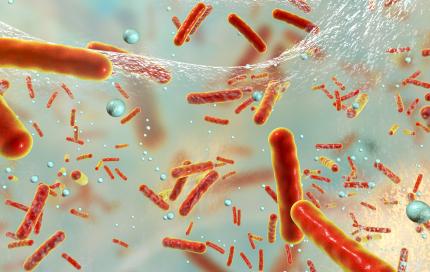 Bacteriën in biofilm - KILLFILM