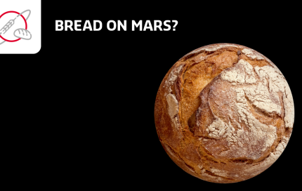 bread on mars
