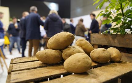 Aardappelen op krat op Interpom