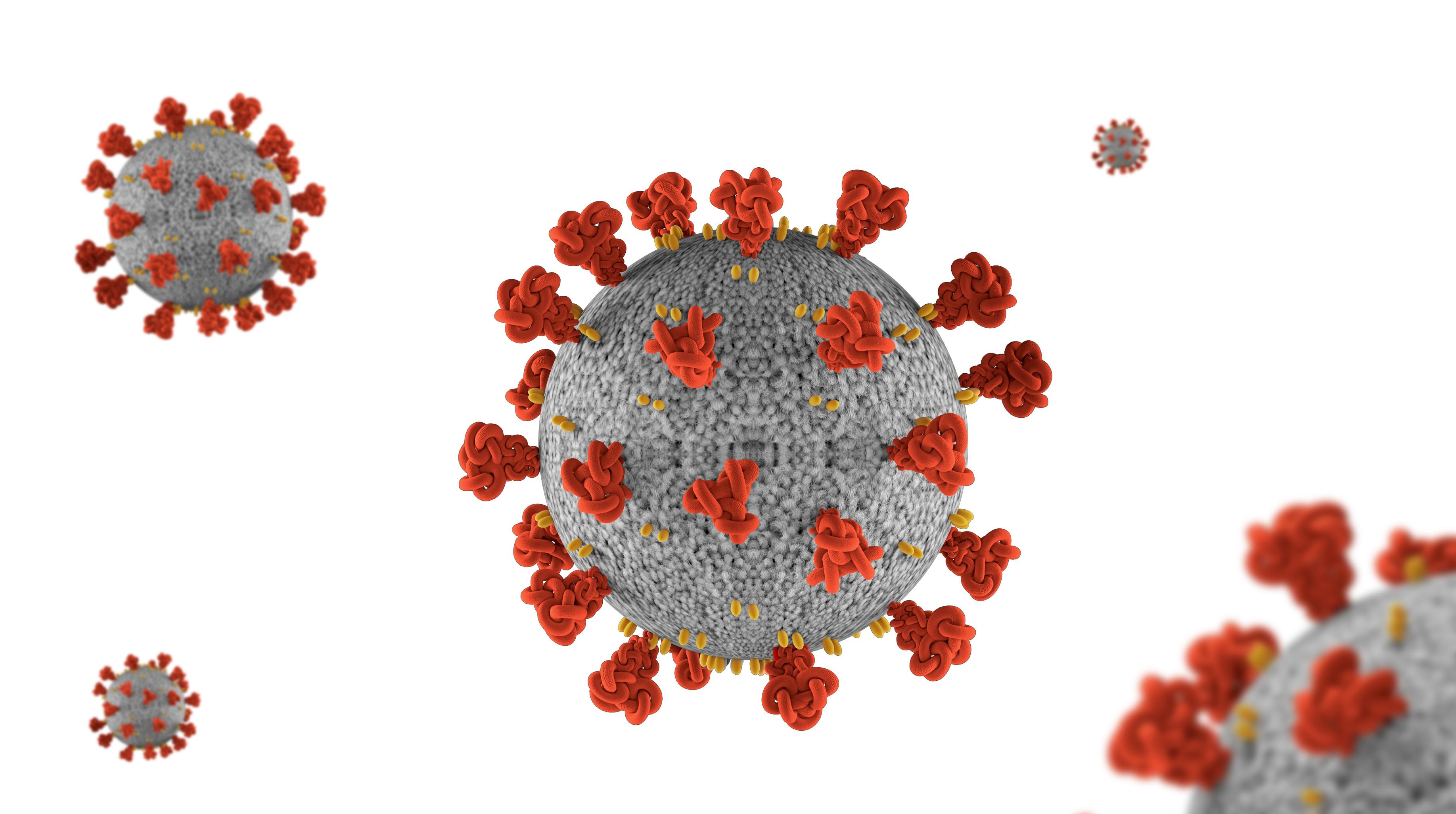 Coronavirus