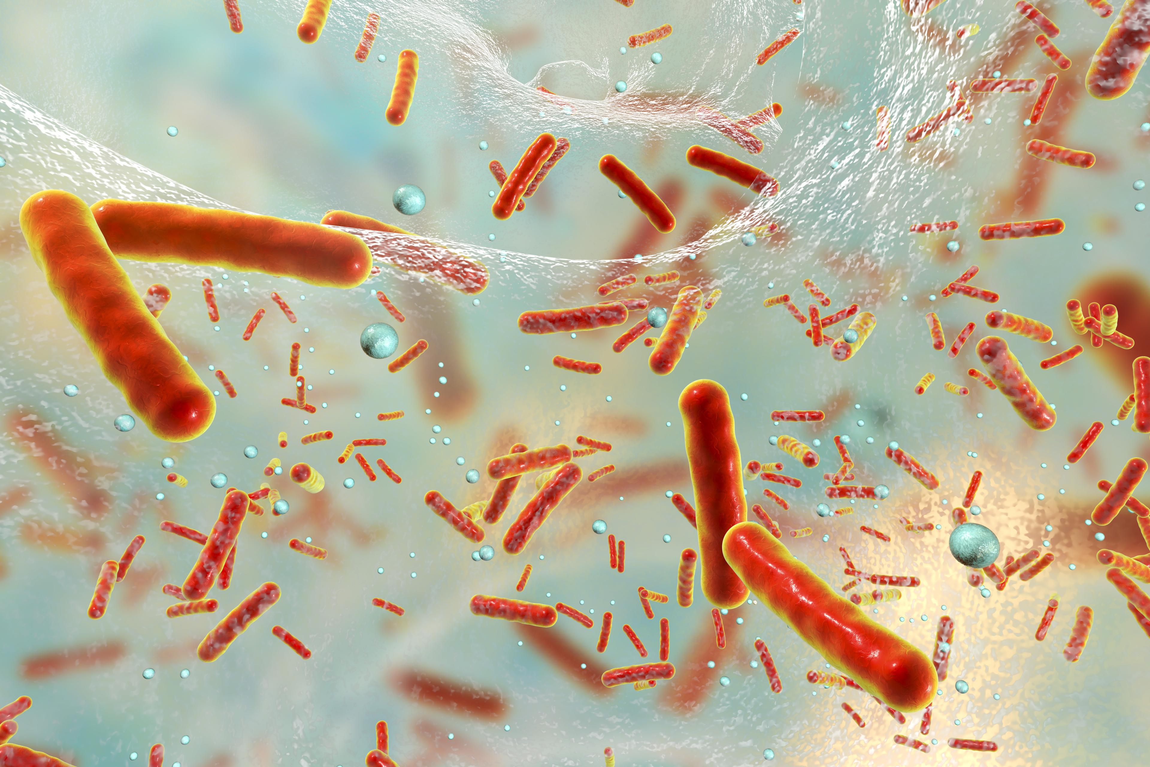 Bacteriën in biofilm