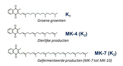 16.04.27 vitamine K