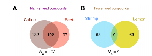 Principe van foodpairing