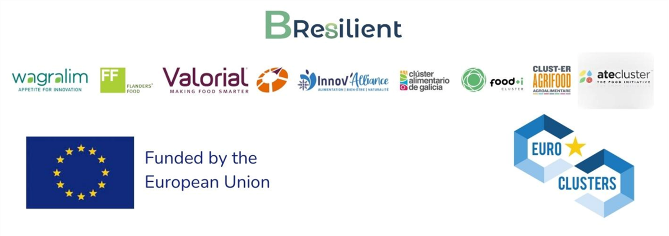 partners B-Resilient