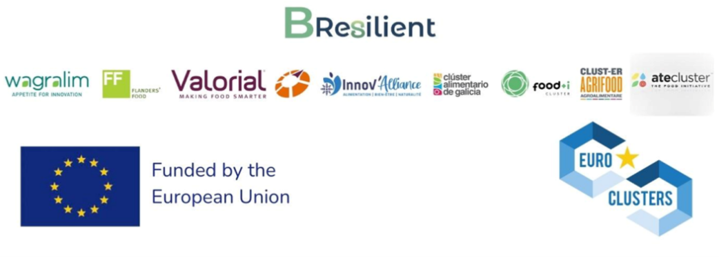B-Resilient partners