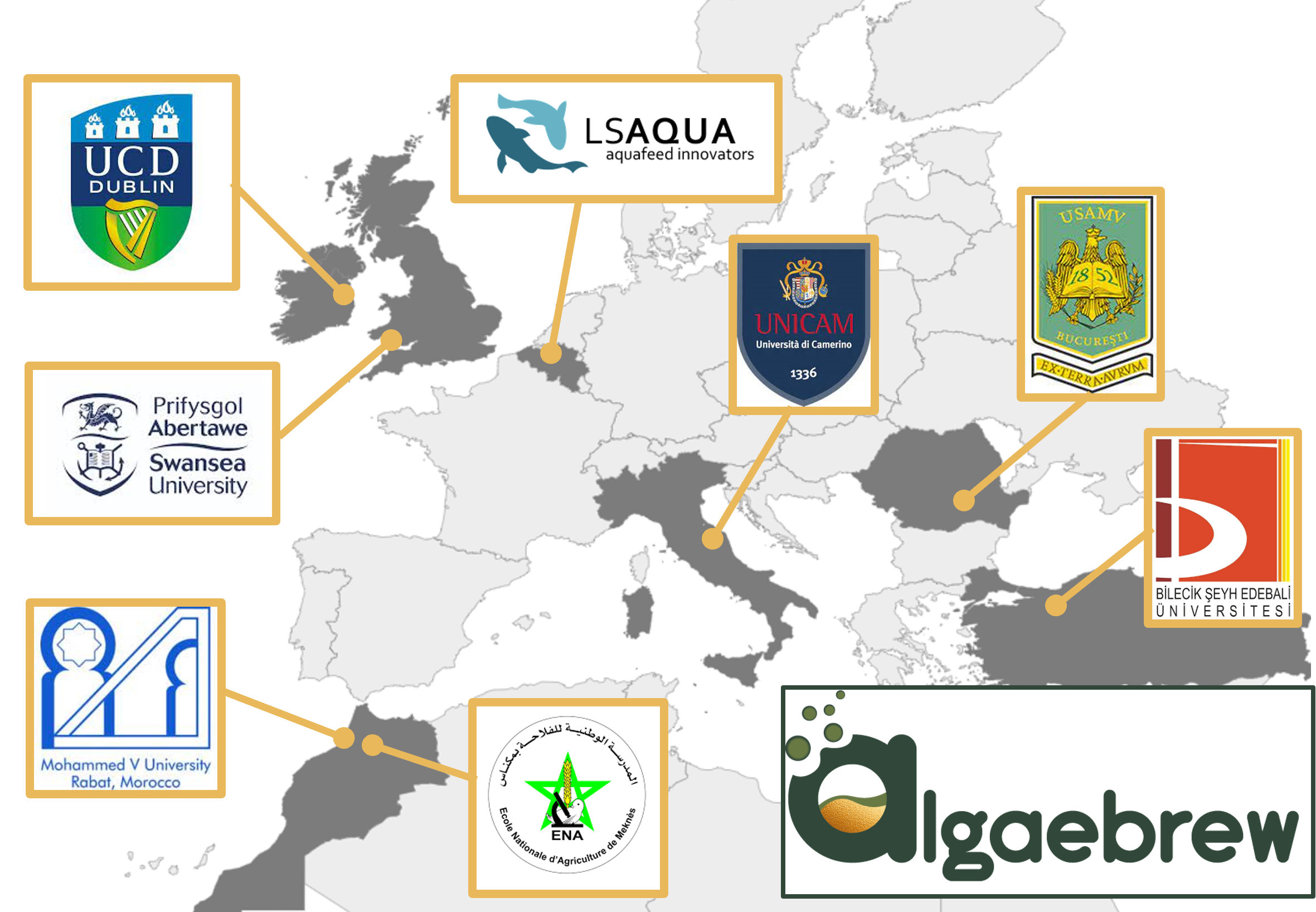 map met partners algaebrew