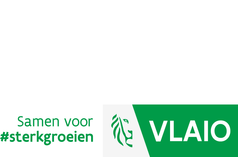 VLAIO sponsorlogo 2025