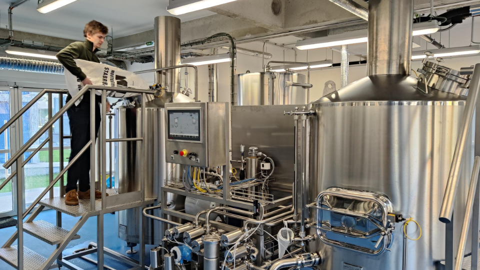 Fermented Food Pilot