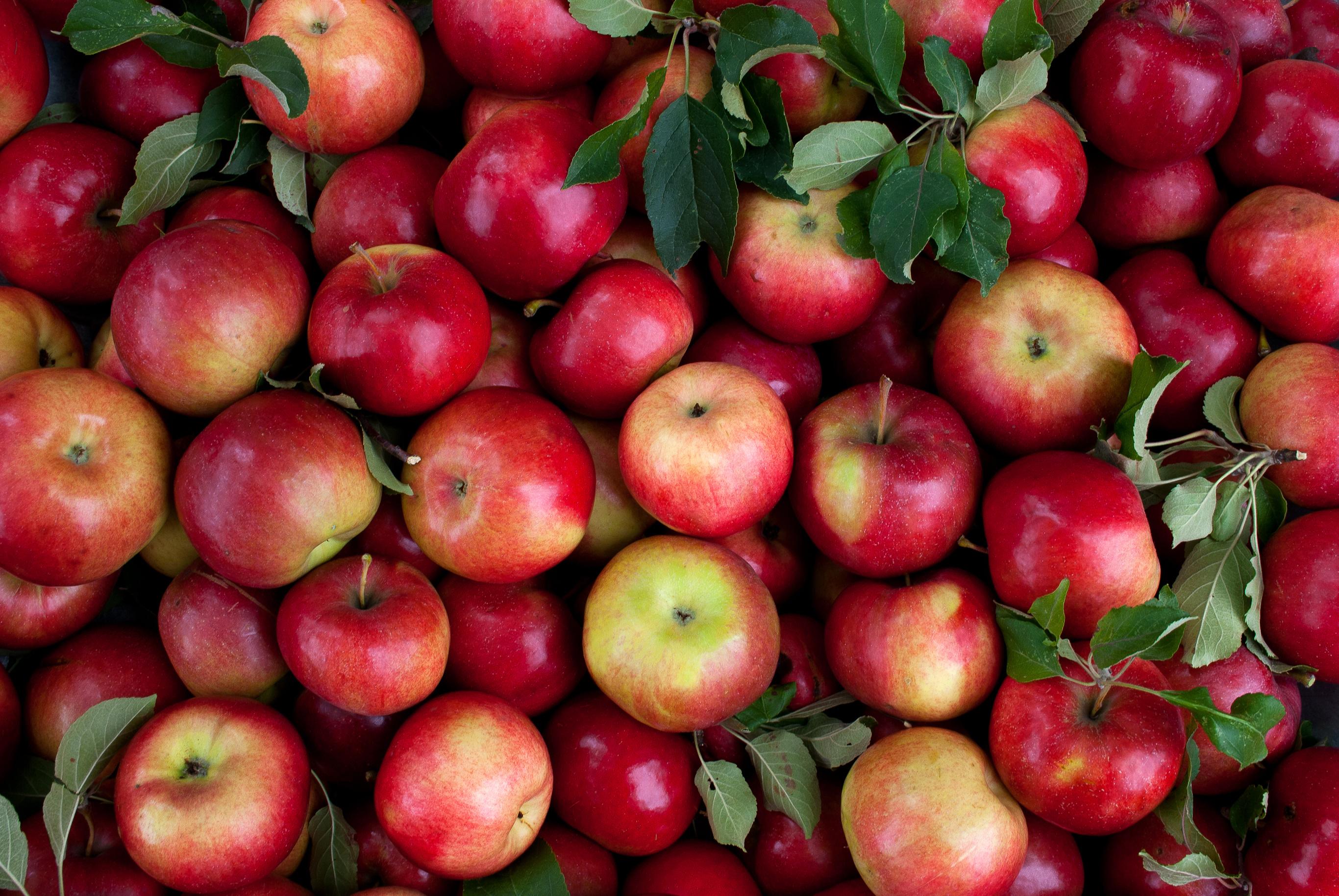 appels