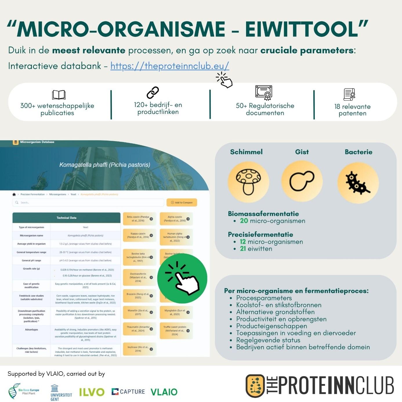 eiwittool
