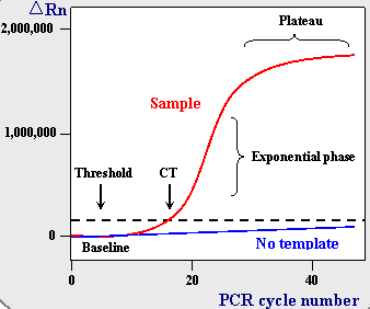 PCR amplification curve