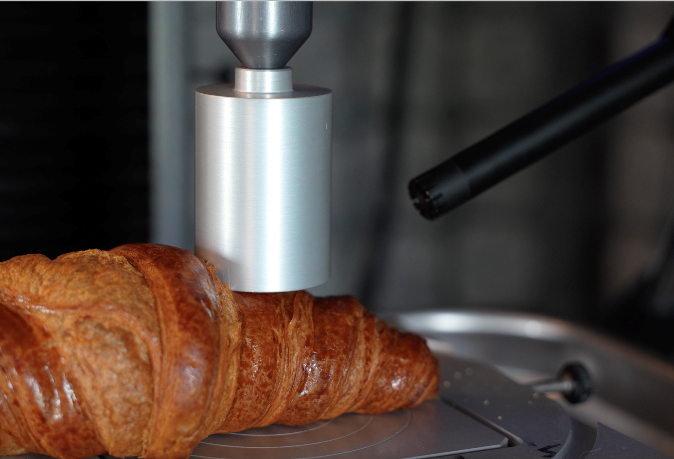 Quantifying crispness using acoustic analysis (KRAK) - Flanders' FOOD
